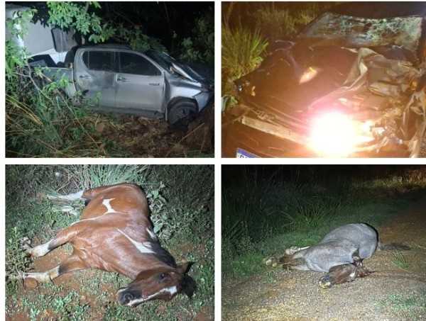 Dois cavalos morrem após acidentes com caminhonete e carro na MT-320, em Colíder