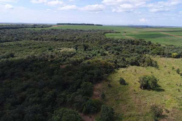 Nova Canaã do Norte tem área rural de quase 30 hectares regularizada por R$ 27,4 mil